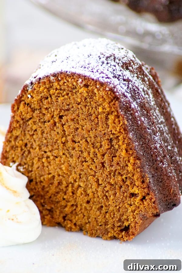 Harvest Pumpkin Chocolate Chunk Loaf 5 A slice of Chai Spiced Pumpkin Cake on a plate with swirls of fresh whipped cream, ready to be enjoyed.