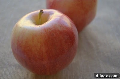 Freshly baked Apple Peanut Butter Bars cooling on a wire rack, showing golden brown crust and a hint of apple filling.