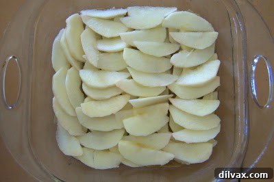 Second layer of thinly sliced apples arranged over the first, creating a double apple layer in the baking dish.