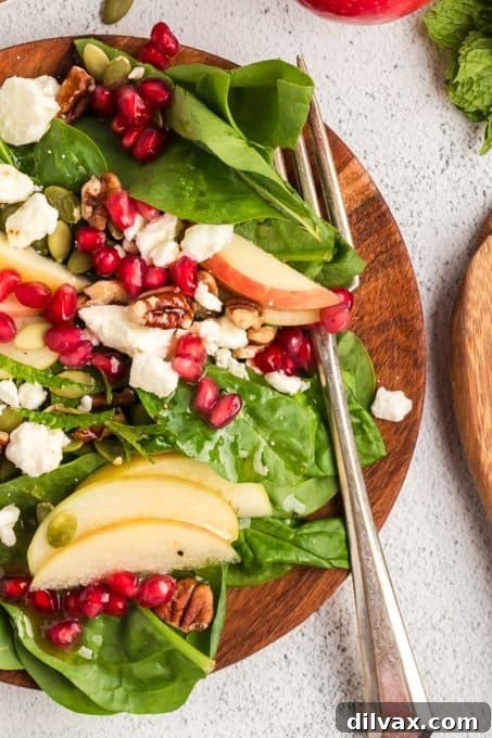 Winter Harvest Bowl 11 A beautifully assembled apple spinach salad, showcasing all the fresh ingredients and vibrant colors.