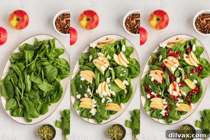 Winter Harvest Bowl 7 Process photos demonstrating the assembly of a Winter Salad, combining fresh ingredients.