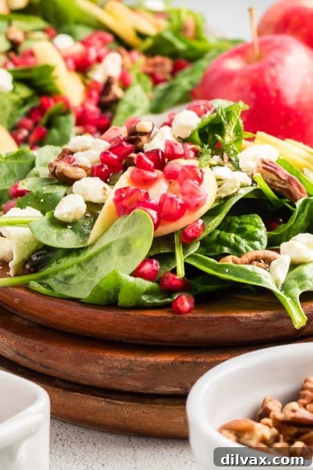 Winter Harvest Bowl 10 Close-up of a spinach salad topped with ruby-red pomegranate arils, highlighting the vibrant colors and fresh ingredients.