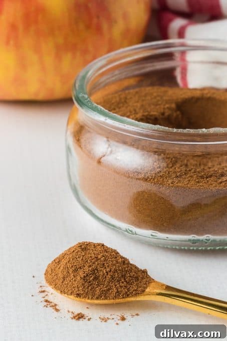 Autumn Spice Blend 3 Close-up of a glass jar filled with homemade Apple Pie Spice, ready for use.