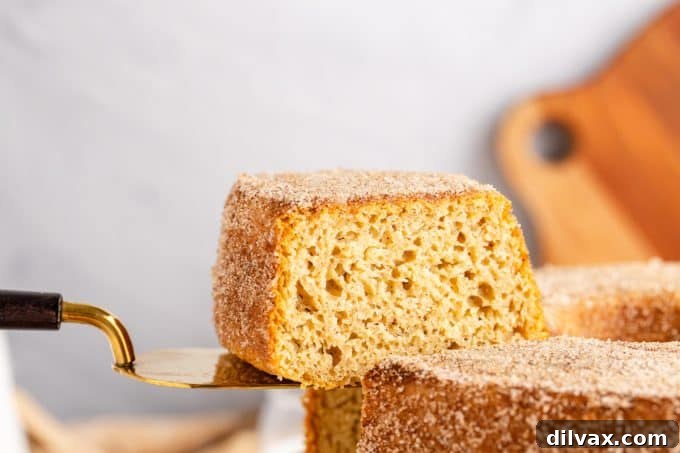 Delicious Apple Cider Donut Cake, coated in cinnamon sugar, perfect for fall.