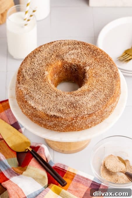An entire cinnamon sugar coated apple cake, beautifully presented and ready to be served.