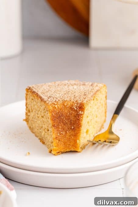 A perfect slice of apple cider donut cake, showing the moist crumb and generous cinnamon sugar.