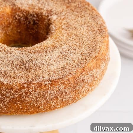 Apple Cider Donut Cake