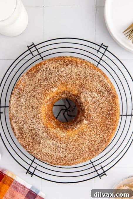 A finished apple cider cake, beautifully coated with a generous layer of cinnamon sugar, on a cooling rack.