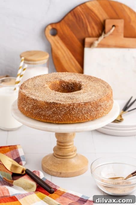 A beautifully textured Apple Cider Donut Cake, with its signature cinnamon sugar topping, ready to be sliced.