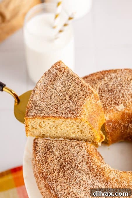A close-up of a single slice of cinnamon sugar apple cake, showcasing its moist interior.