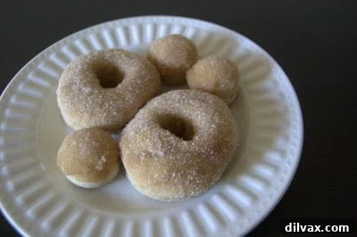 Freshly baked apple cider doughnuts coated in cinnamon sugar, cooling on a wire rack.
