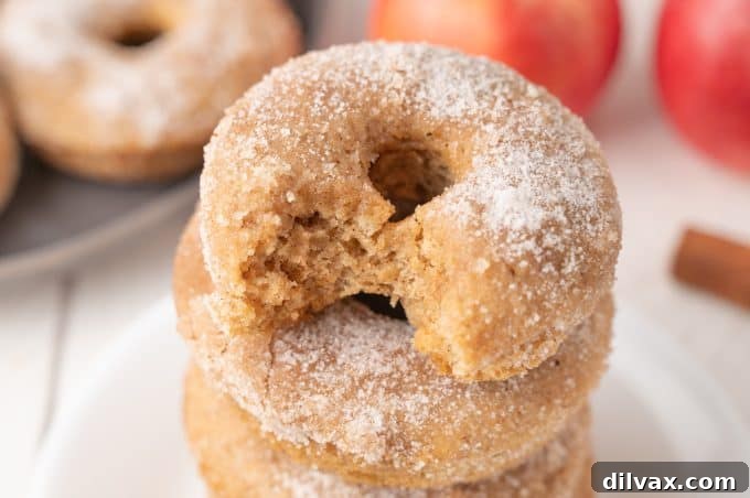 Golden Apple Cider Delights 2 Apple Cider Donuts - perfect fall treats