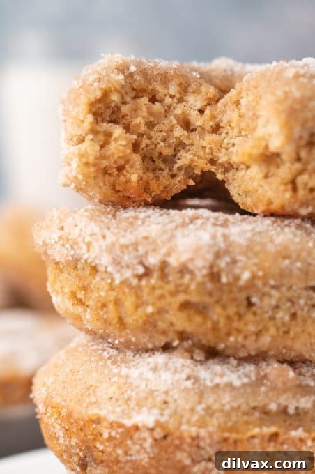 Golden Apple Cider Delights 11 Freshly baked and coated Apple Cider Donuts, ready to be enjoyed.