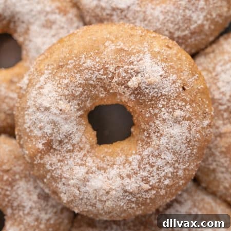 Golden Apple Cider Delights 12 Apple Cider Donuts