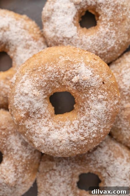 Golden Apple Cider Delights 3 Baked Apple Cider Donuts dusted with cinnamon sugar, perfect for fall