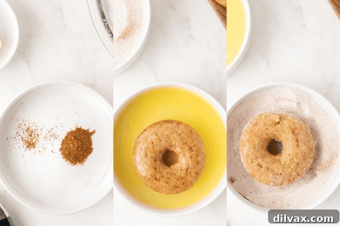 Golden Apple Cider Delights 6 Second set of process photos for Apple Cider Donuts: coating with cinnamon sugar.