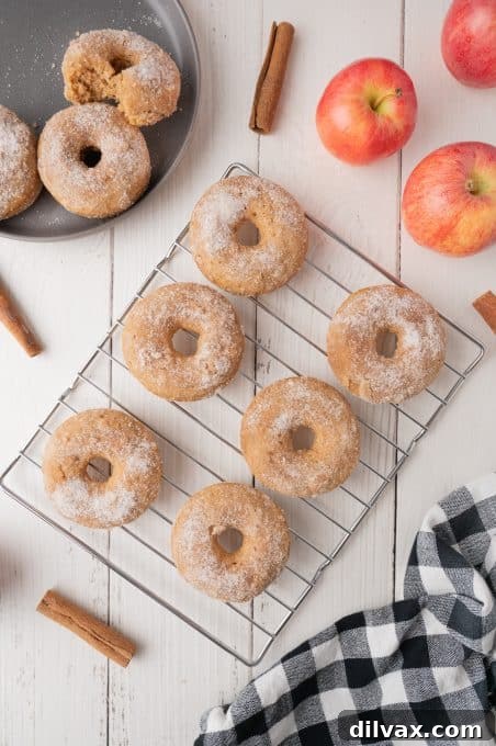 Golden Apple Cider Delights 7 Delicious baked apple cider donuts on a wire rack.