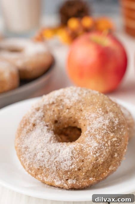 Golden Apple Cider Delights 9 Close-up of cinnamon sugar coating on apple donuts.