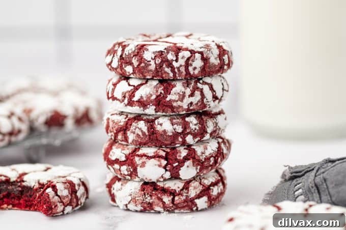 Red Velvet Crinkles 2 Red Velvet Crinkle Cookies beautifully arranged on a tray, showcasing their vibrant red color and distinctive powdered sugar cracks.