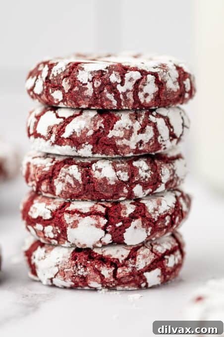 Red Velvet Crinkles 3 A close-up of a single Red Velvet Crinkle Cookie, showing its detailed cracks and inviting texture.