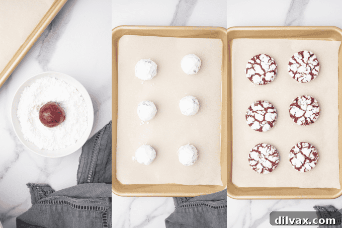 Red Velvet Crinkles 7 Third step of Red Velvet Crinkle Cookies preparation: rolling dough balls in confectioners' sugar.