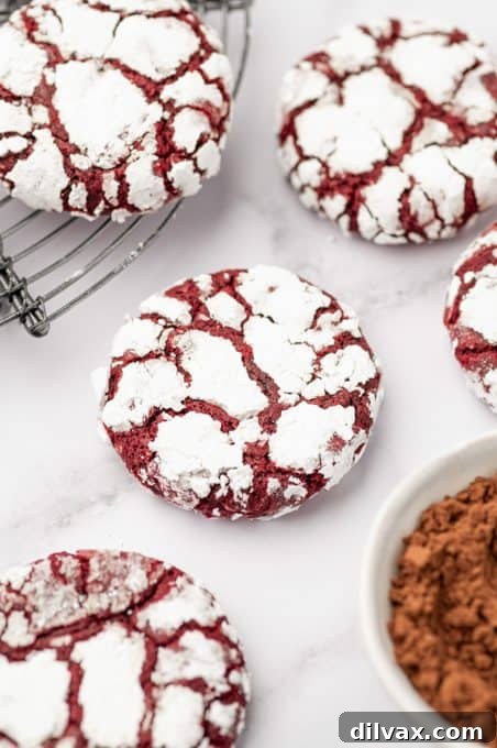 Red Velvet Crinkles 9 A close-up shot of two Red Velvet Crinkle Cookies, highlighting their rich color and intricate cracks.