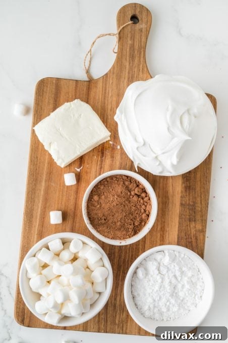 All the essential ingredients for making Hot Chocolate Dip laid out on a kitchen counter.