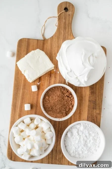 All the simple ingredients laid out for making Hot Chocolate Dip.