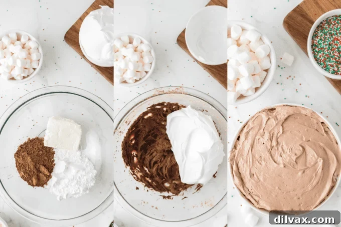 Step-by-step process photos demonstrating how to make Hot Chocolate Dip.