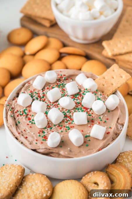 A beautifully presented bowl of an easy chocolate dessert dip, ready to be enjoyed.