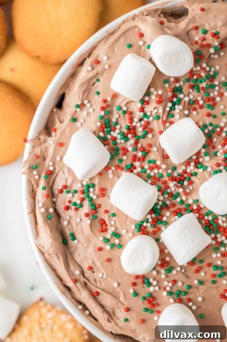 A close-up of a chocolate dessert dip, highlighting its rich, smooth texture.