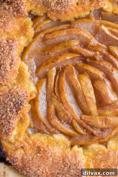 Rustic Cinnamon Pear Tart 3 Close-up of a rustic Cinnamon Pear Galette, highlighting the golden crust and pear filling.