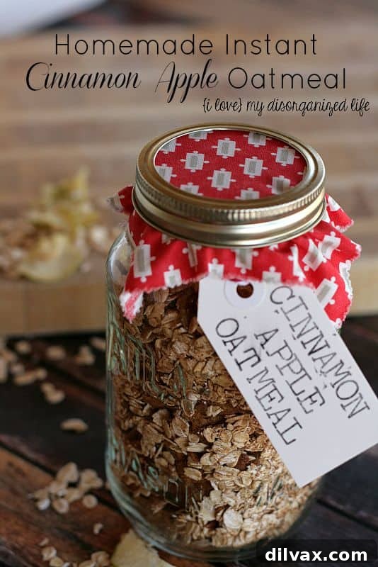 Homemade Instant Cinnamon Apple Oatmeal with dried apples and cinnamon