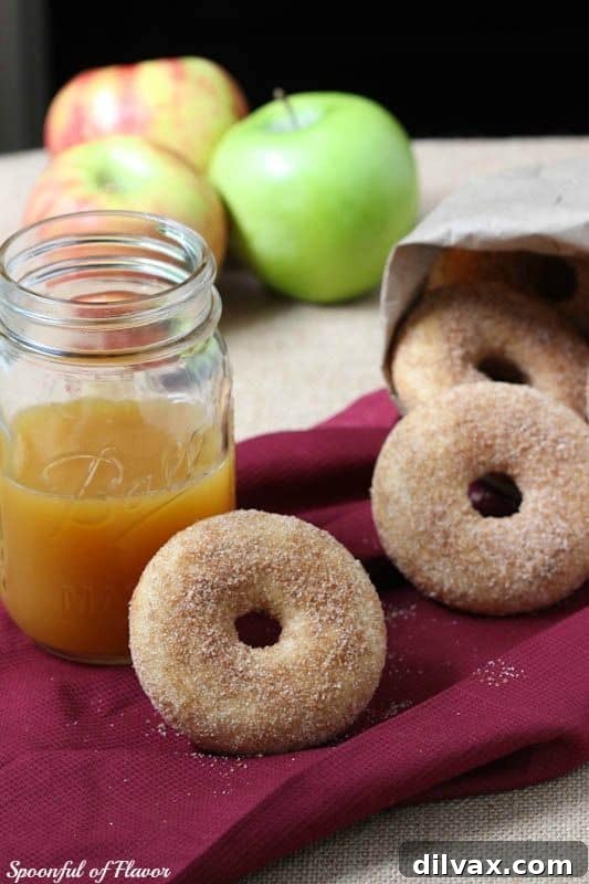 Warm, glistening Baked Apple Cider Donuts dusted with sugar