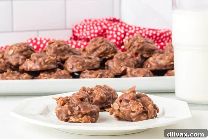 Effortless Chocolate Peanut Butter Delights 2 Irresistible Chocolate Peanut Butter No-Bake Cookies