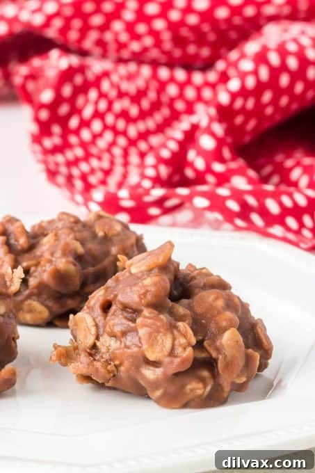 Effortless Chocolate Peanut Butter Delights 11 Multiple no bake peanut butter chocolate cookies on a plate.