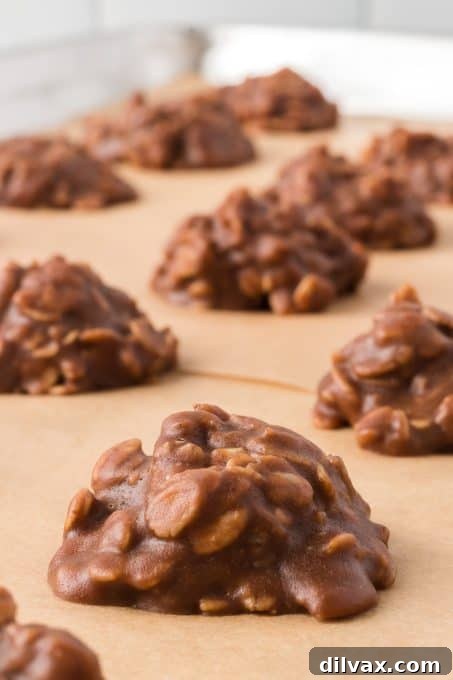 Effortless Chocolate Peanut Butter Delights 3 Close-up of freshly made Chocolate Peanut Butter No-Bake Cookies