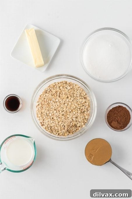 Effortless Chocolate Peanut Butter Delights 4 All ingredients laid out for Chocolate Peanut Butter No-Bake Cookies.