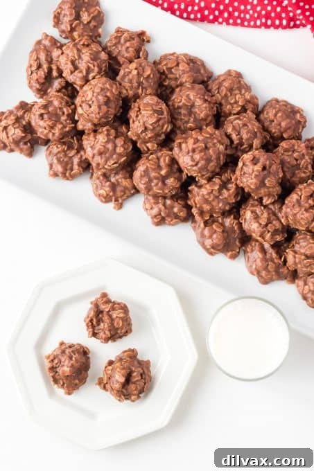 Effortless Chocolate Peanut Butter Delights 7 Classic peanut butter no bake cookies with chocolate, ready to eat.