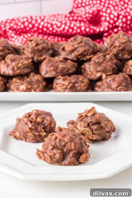 Effortless Chocolate Peanut Butter Delights 8 Stack of Chocolate Peanut Butter No-Bake Cookies.