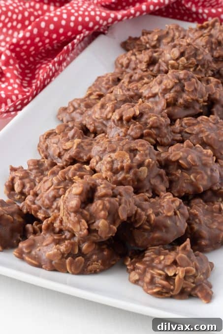 Effortless Chocolate Peanut Butter Delights 9 Peanut butter chocolate no bake cookies on a wire rack.