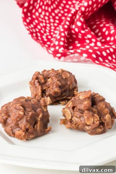 Effortless Chocolate Peanut Butter Delights 10 Chocolate Oat and peanut butter no bake cookies, arranged beautifully.