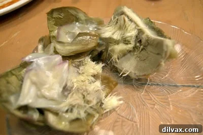 A close-up of an artichoke heart with the fuzzy choke still visible in the upper right corner, before being scraped clean.