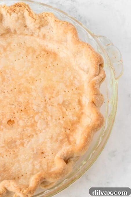 An easy-to-handle pie crust dough, flattened into a disc and wrapped in plastic wrap for chilling or freezing.