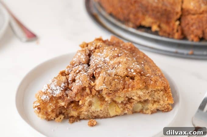 Autumn Apple Bliss 2 Warm, tender Apple Cake with cinnamon topping