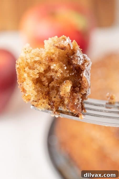 Autumn Apple Bliss 11 A delicious bite of a homemade apple cake