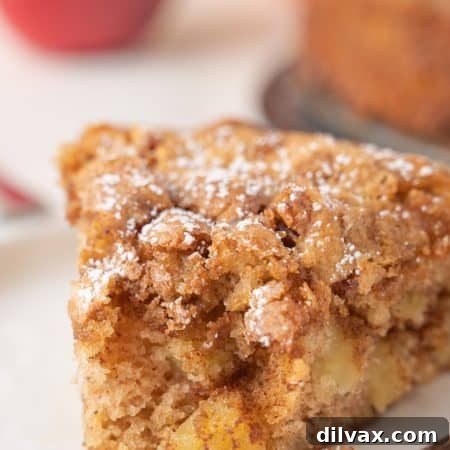 Autumn Apple Bliss 12 Apple Cake