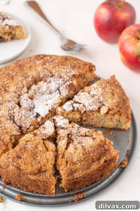 Autumn Apple Bliss 4 A slice of apple cake with powdered sugar on top