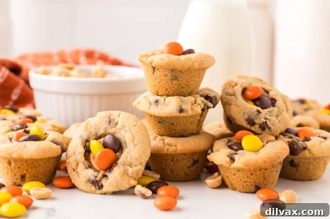 Delicious Reese's Cookie Cups arranged on a serving platter, showcasing their golden-brown edges and colorful candy toppings.