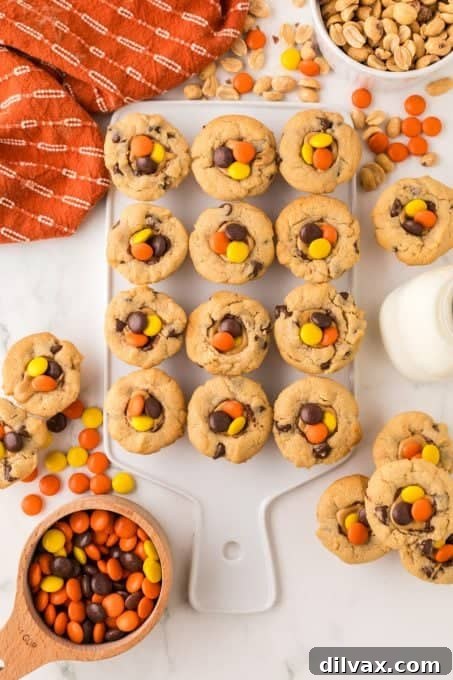 An array of Reese's Peanut Butter Cookies with chocolate chips and Reese's Pieces, beautifully arranged and ready to be enjoyed.